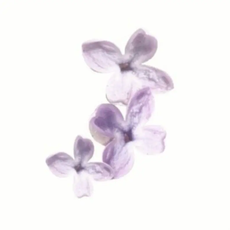 SpongySpray4137의 剣持刀也