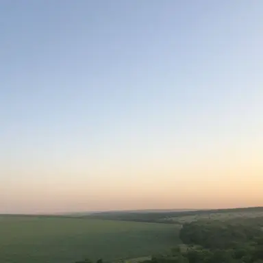 Profile image of 전원우