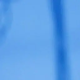 Profile image of 渡辺翔太