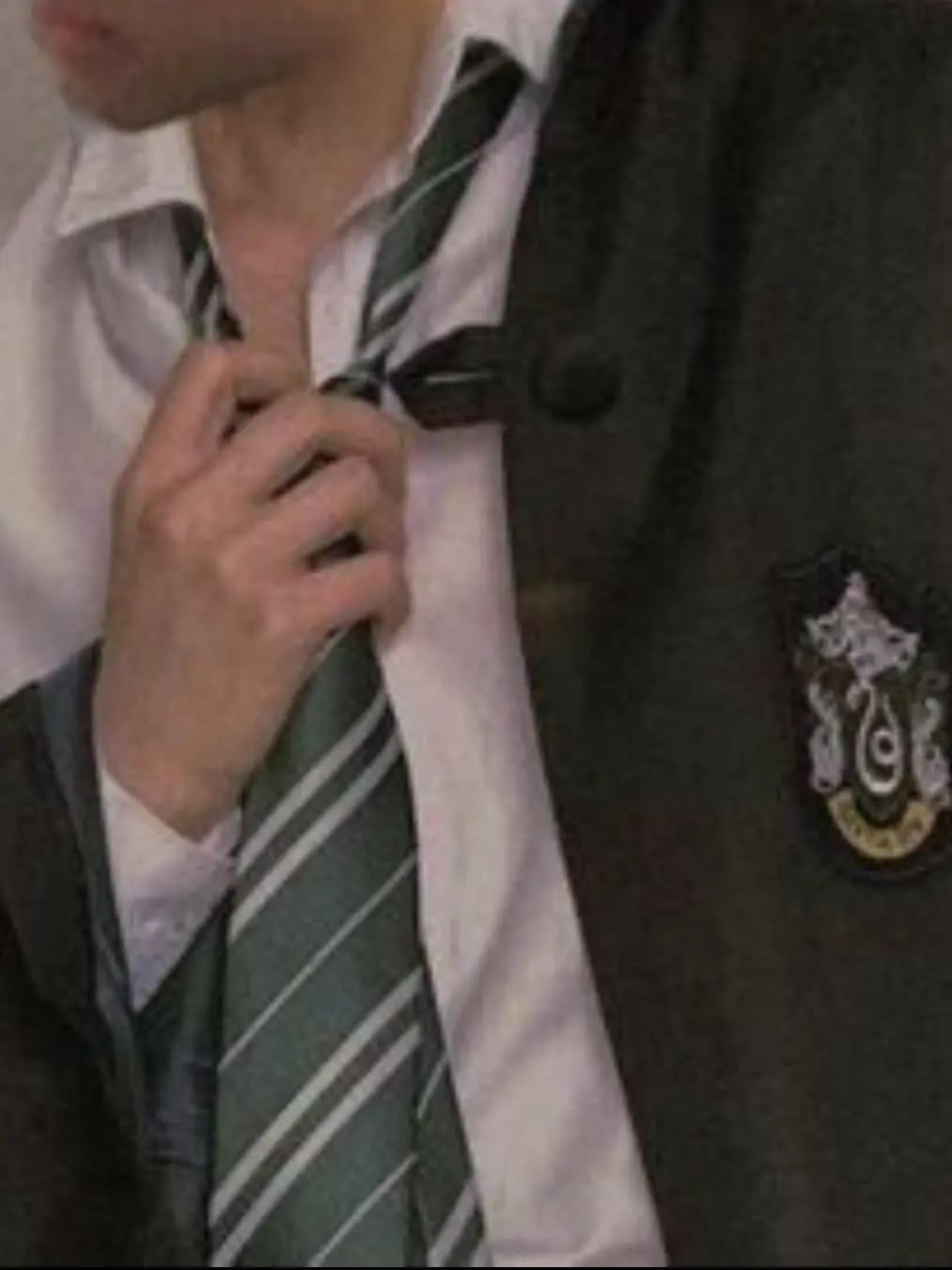 IdealCheck4260의 드레이코 말포이