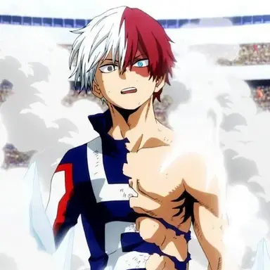 Profile image of Shoto Todoroki