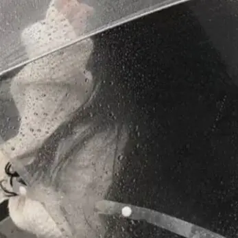 MoistApe3655의 최지연