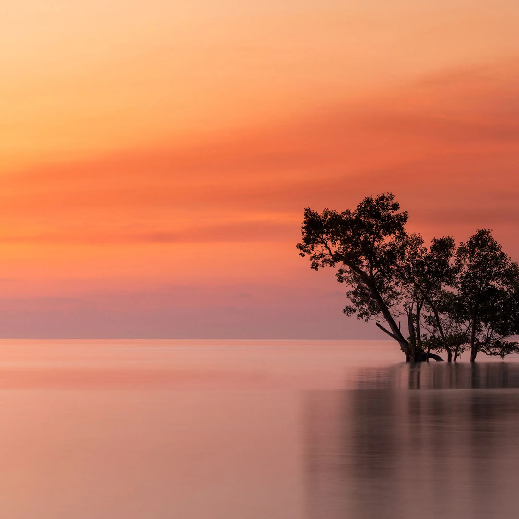 iluvochakoo의 His Quiet Love