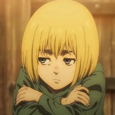 Profile image of Armin