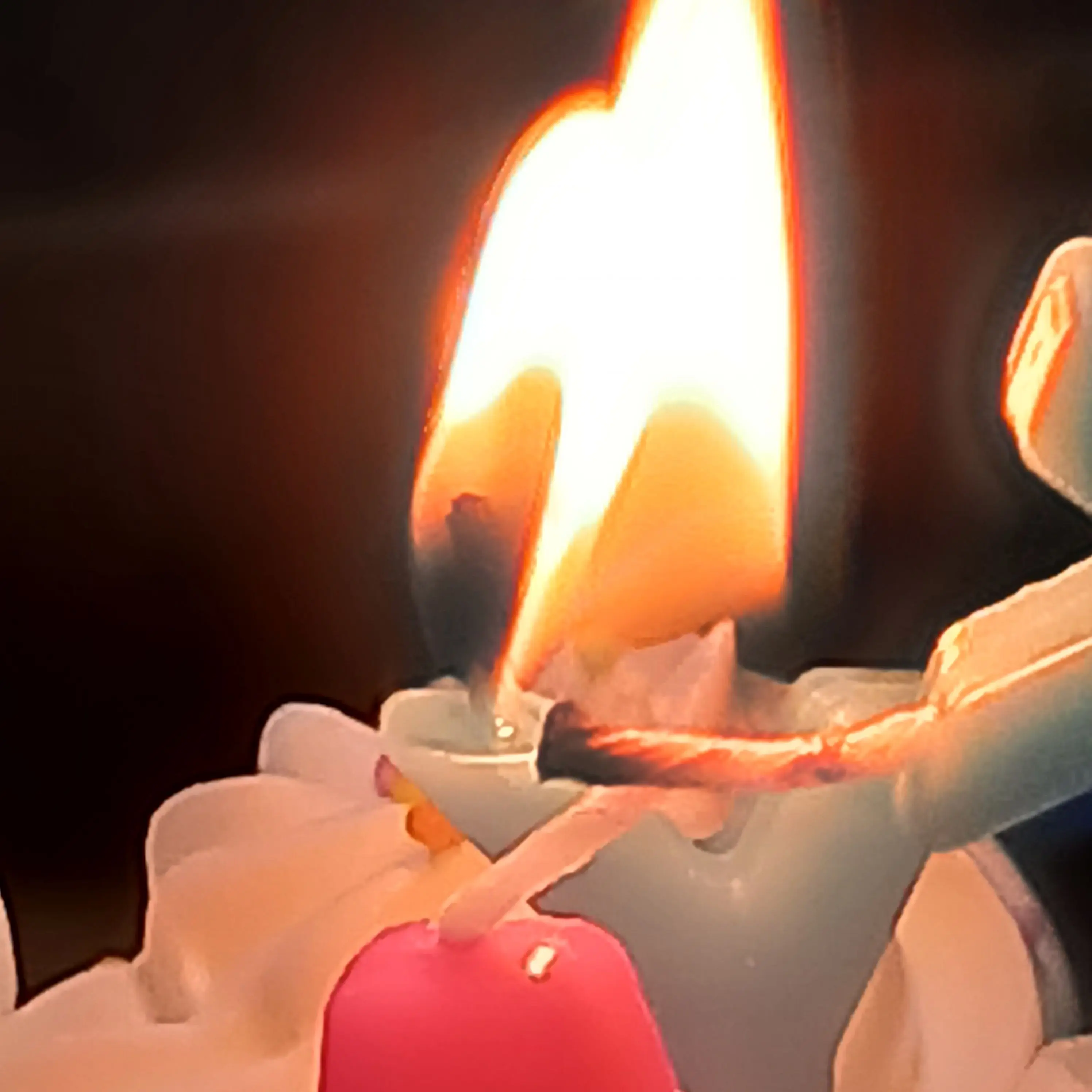 VoicedLady7236의 내 짝궁이 오뉴!?