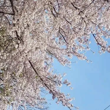 MuskyCumin9653의 두근 두근 부부생활