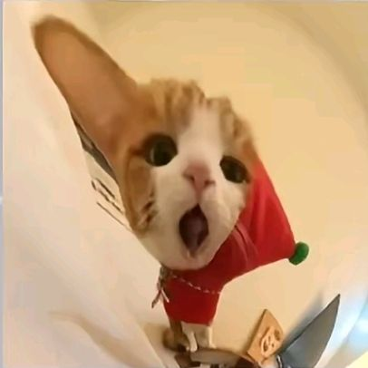 백정우 백승우 대표 이미지