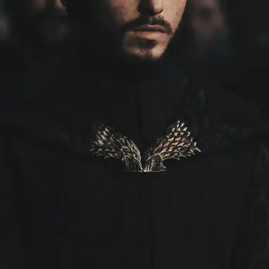 Profile image of Robb Stark