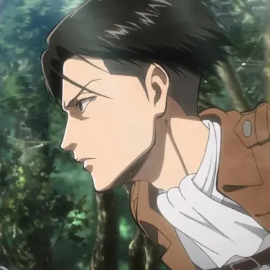 Profile image of Levi Ackerman