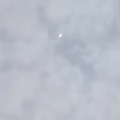 Profile image of 박덕개