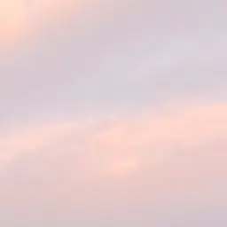 Profile image of 황수현