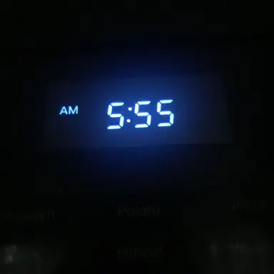 Profile image of 파이브