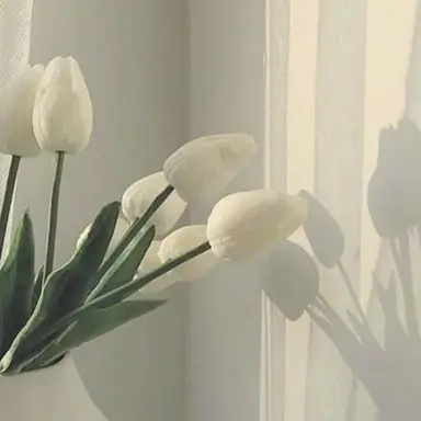 Profile image of 요괴1