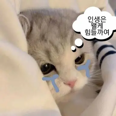 Profile image of ㅎㄷㅁ