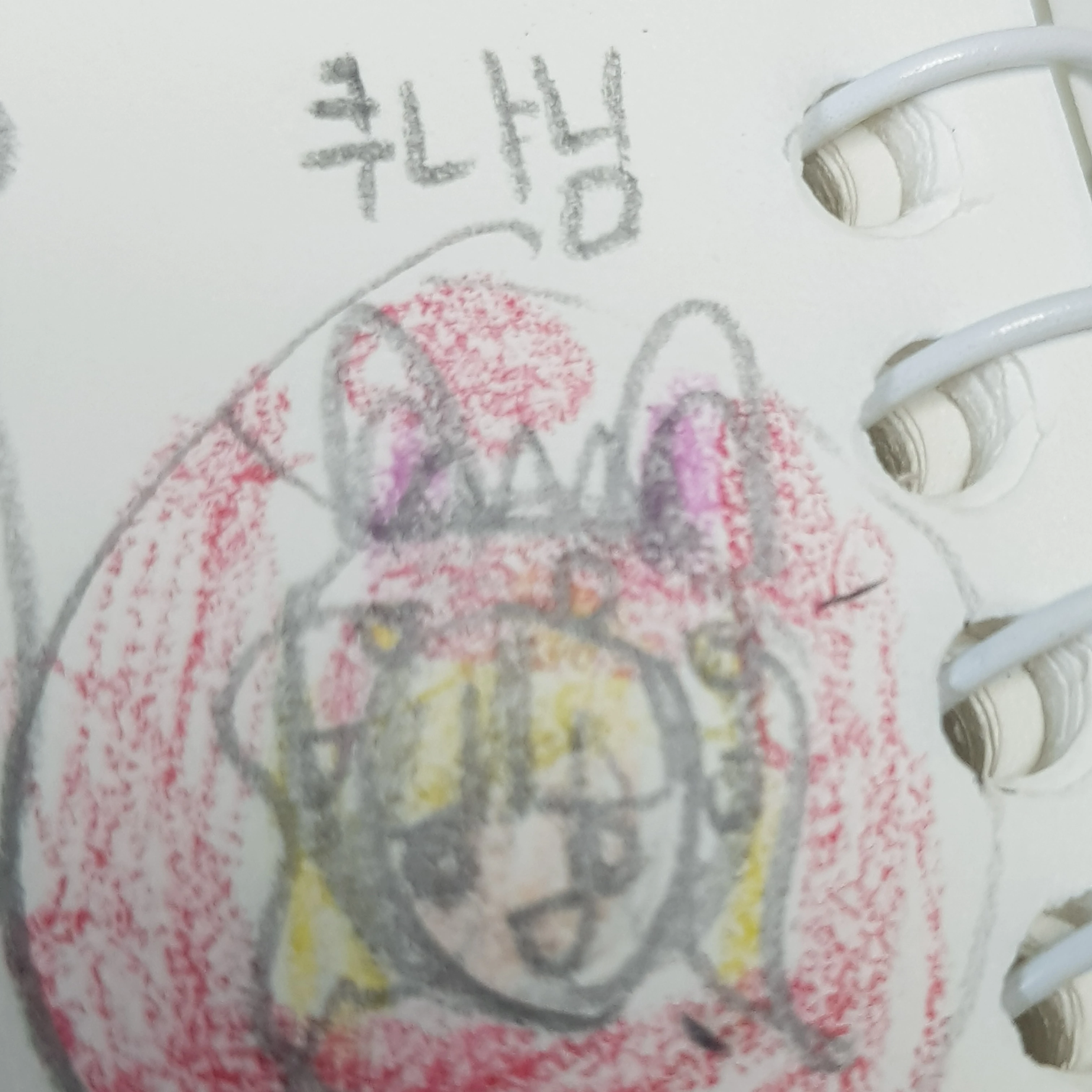 쿠냐