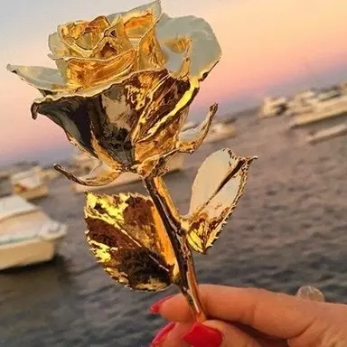 Profile image of 코마