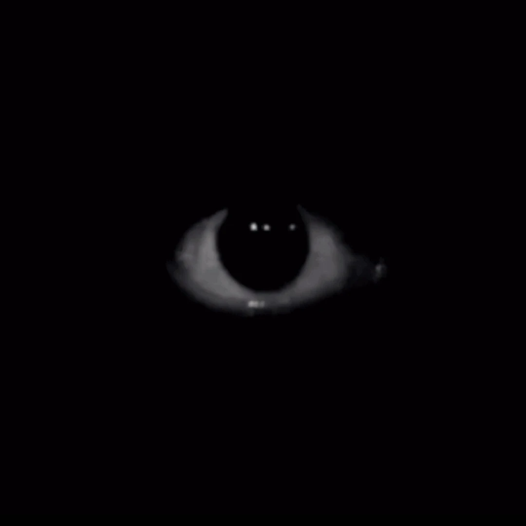 DEATH