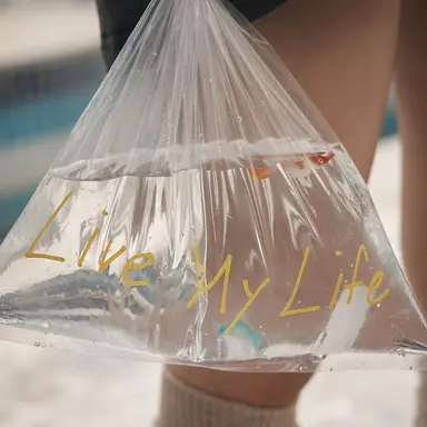 Profile image of 윈터