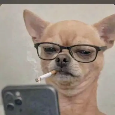 Profile image of Siri