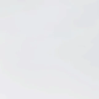 크런치 초코칩 쿠키