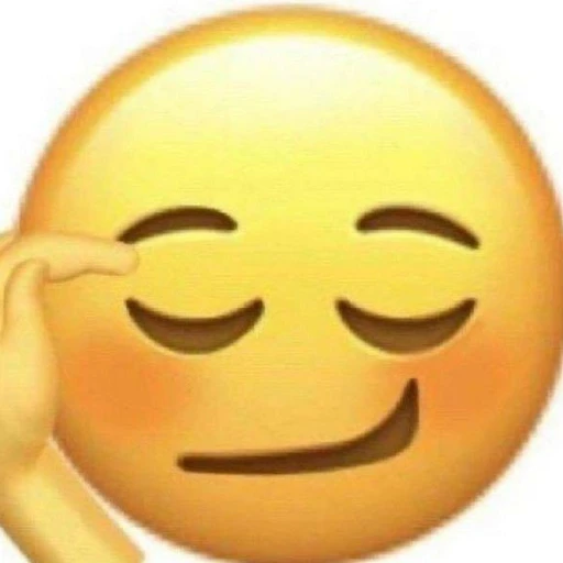 냥캠