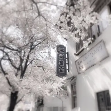 Profile image of 平 滝夜叉丸