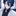 アイリス