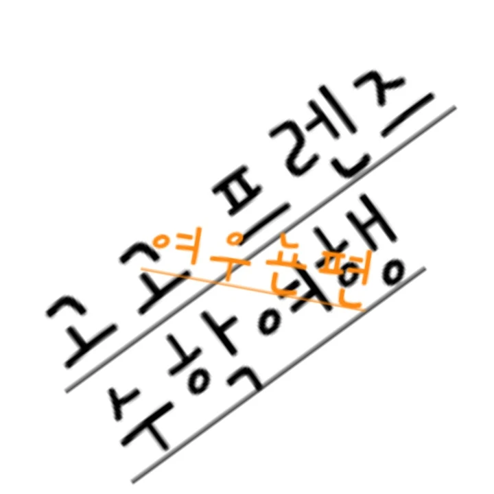모양몬