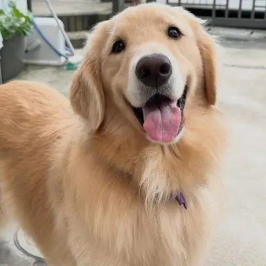 Profile image of 여름이