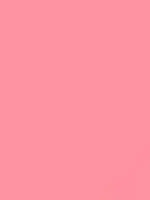 RipestLiver2996의 推し武道パロ 🍱🦖