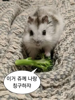 Profile image of 강류이