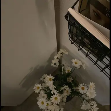 Profile image of 太雅