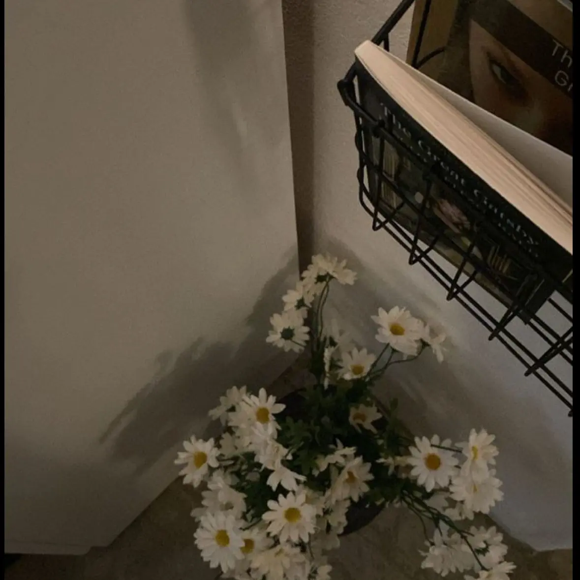 DaftlyCream1905의 使用禁止