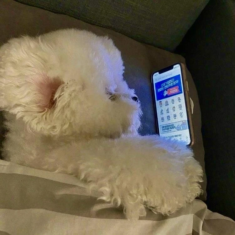 연쭌