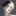 팩트폭격기 비서 A
