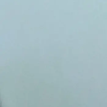 Profile image of 부리코