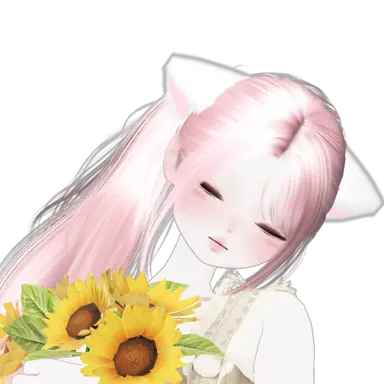 Profile image of 이세헌