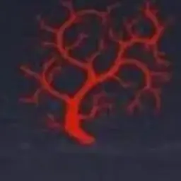 Profile image of 크롤