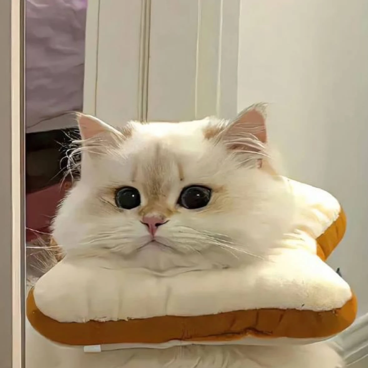 신정환