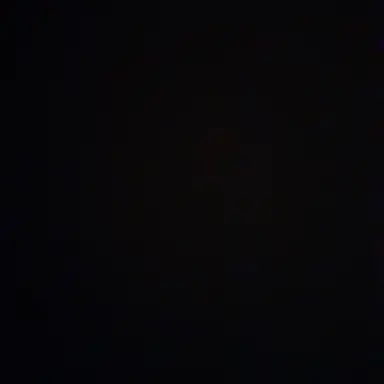 Profile image of 미니