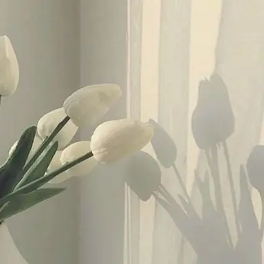 Profile image of ㅁㅎㄴ