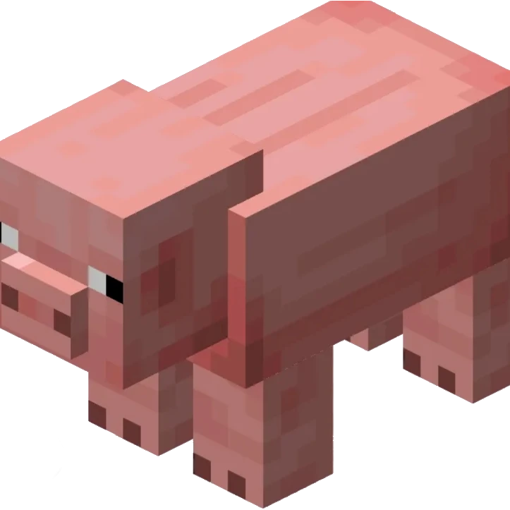 돼지