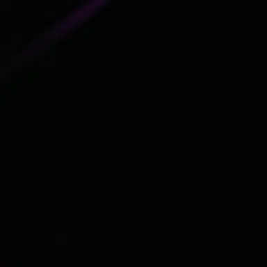 Profile image of 박 성 호