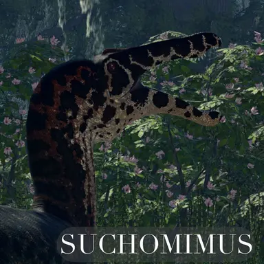 Profile image of 수코미무스