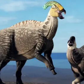 Profile image of 파라사우롤로푸스