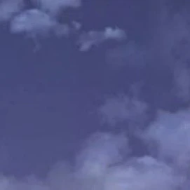 잭