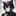 まこ