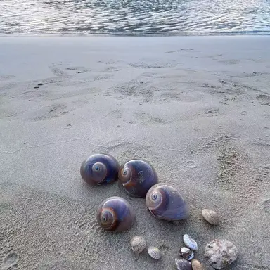 Profile image of 가을