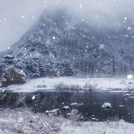 이한결