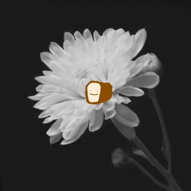 Profile image of パク・シャベク